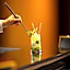 Sofitel Algiers Hamma Garden
