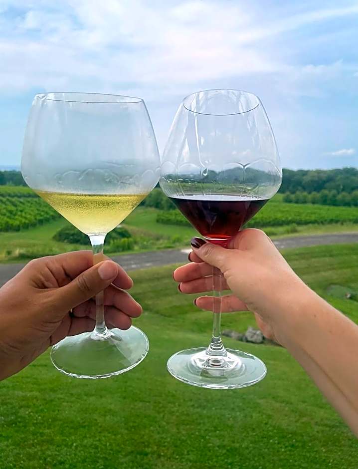 Downtown Picton Retreat - Near Sandbanks and Wineries