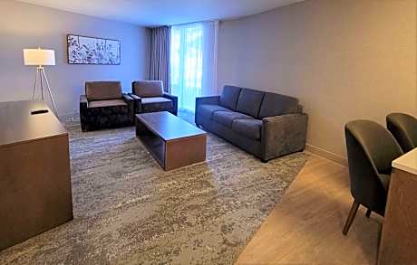 King Room with Sofa Bed and Wet Bar