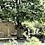 La Cour du Marronnier