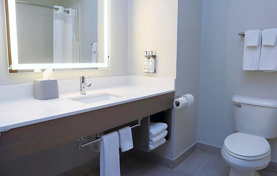 Holiday Inn Express Baton Rouge North By IHG