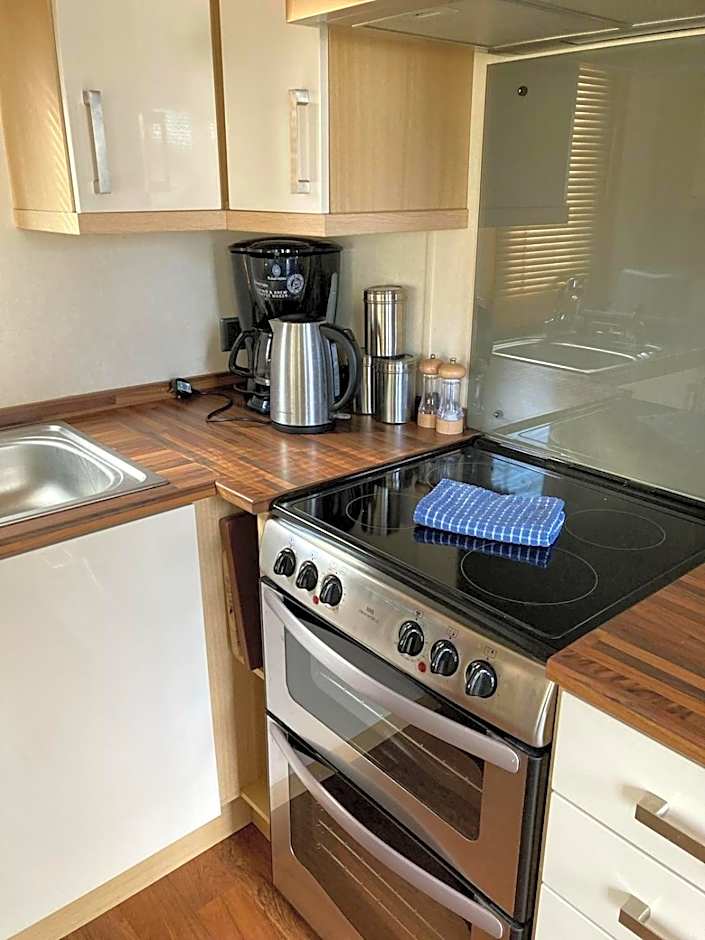 Hoburne park Bluebell10