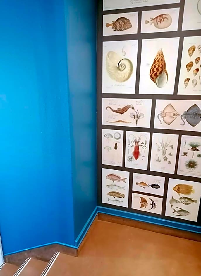 Hotel Le Petit Baigneur Palavas Plage