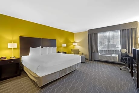 King Room with Roll-In Shower - Disability Access
