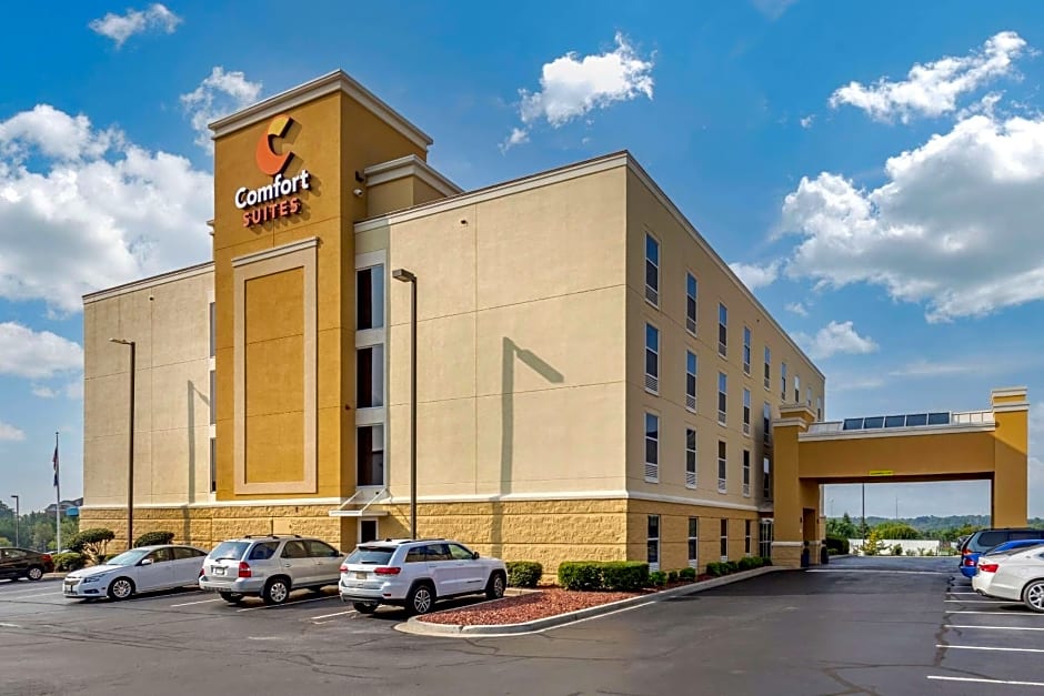 Comfort Suites Anderson-Clemson