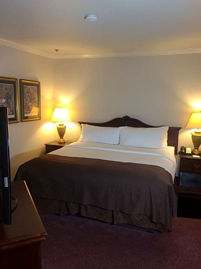 Holiday Inn Selma - Swancourt