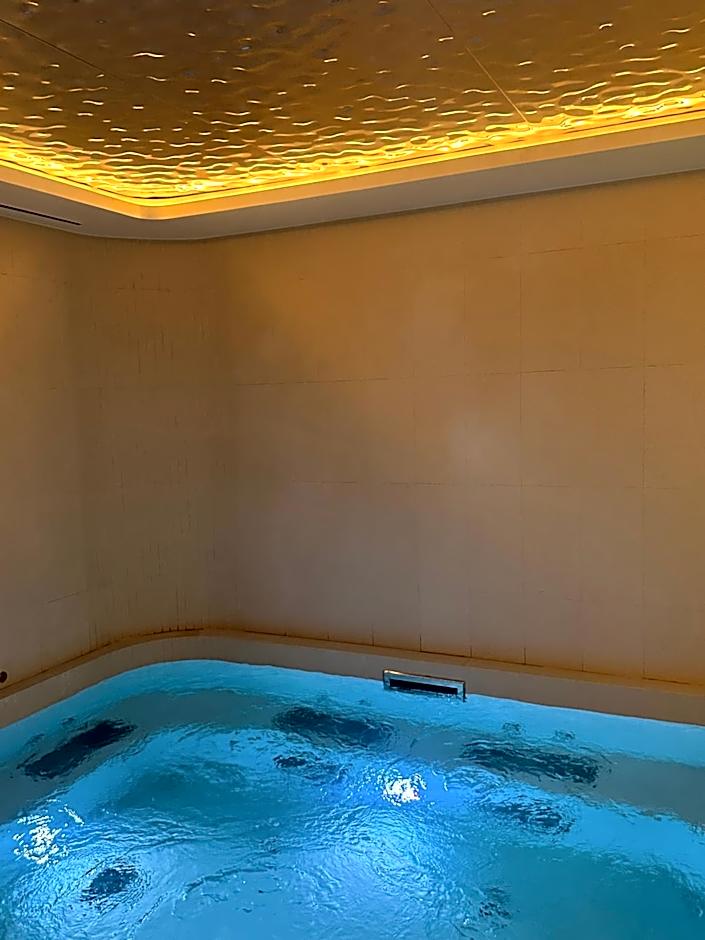 Mercure Vaugirard Paris Porte De Versailles