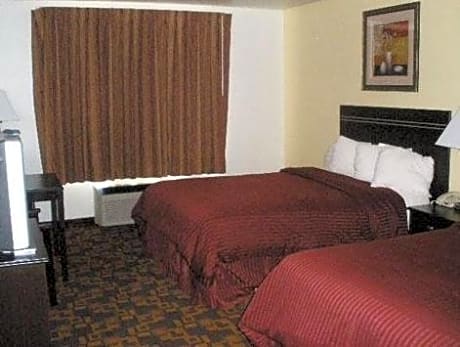1 Bedroom Suite