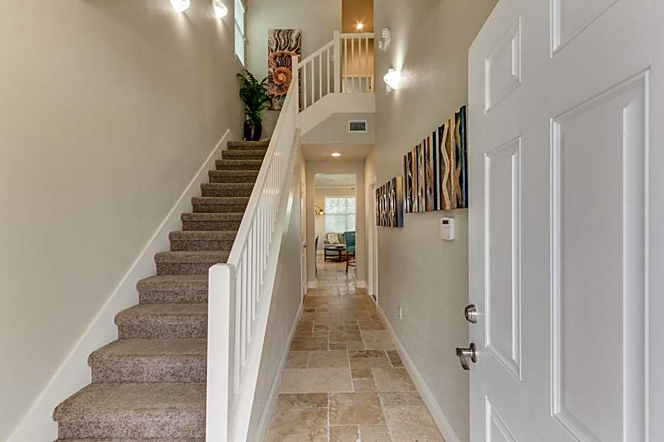 Dolphins Vacation Rental