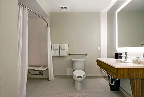 Standard King Room with Roll-in Shower - Mobility Accessible