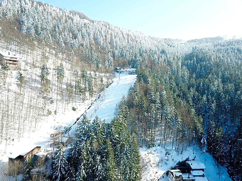 Residenza Riva Wellness Apartment Spa