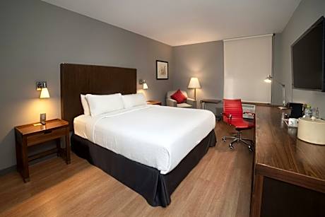 Traditional King, Guest room, 1 King