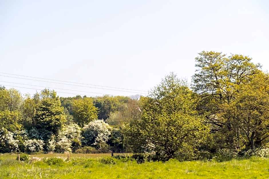 Waterfield House B&B