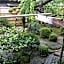 Rakucho Ryokan