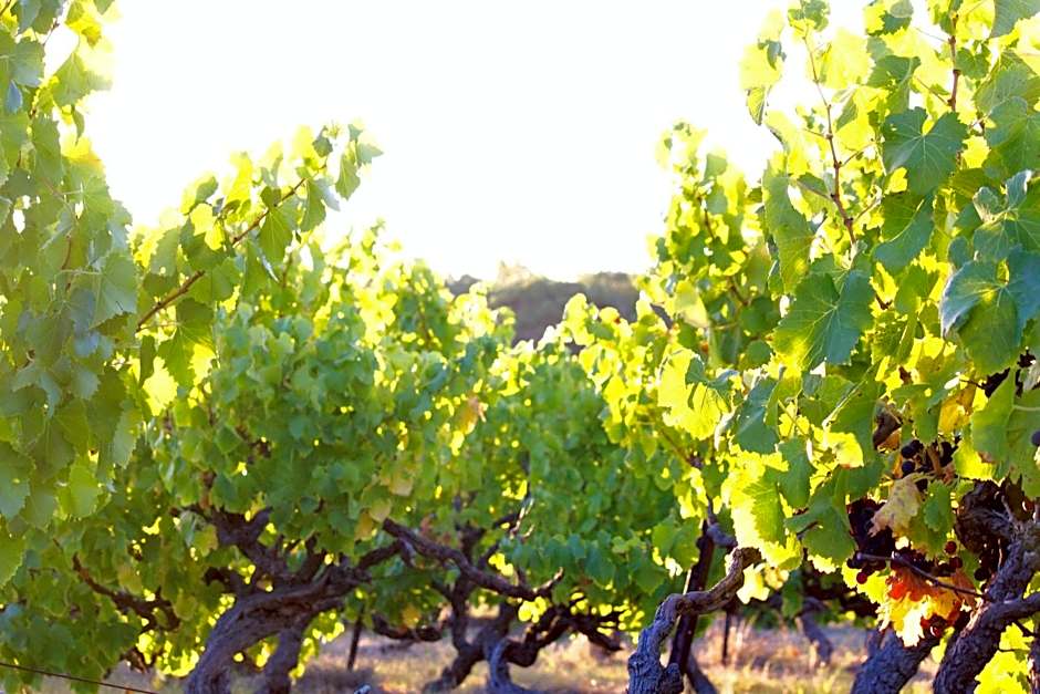 Bed & Breakfast at Tiffany's