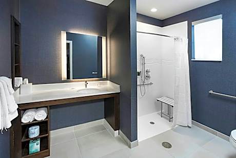 1 Bedroom Larger Suite, 1 King, Sofa bed