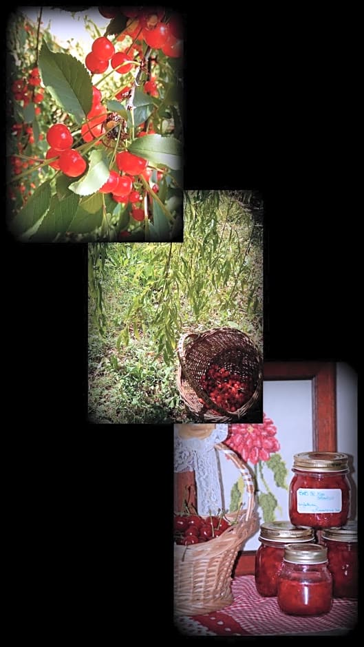 B&B Il moro selvatico