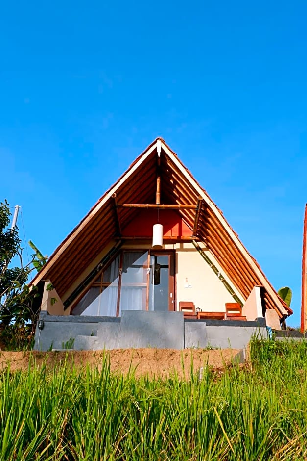 Padi Bali Jatiluwih