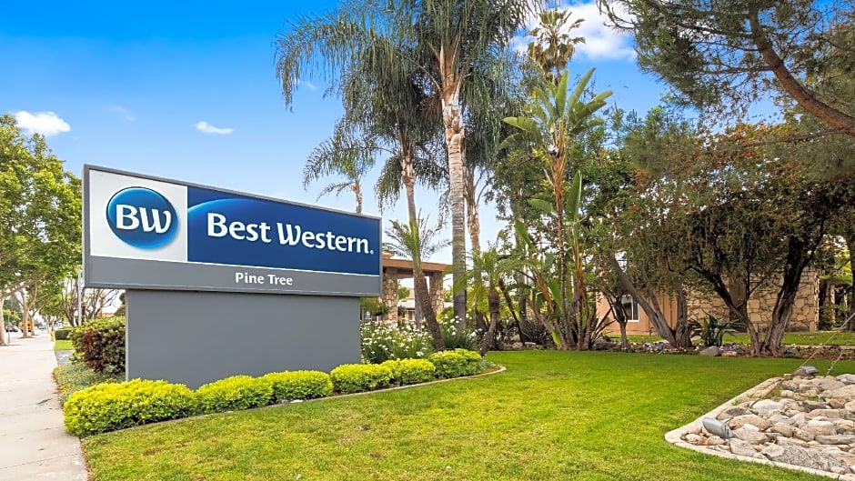 Best Western Pine Tree Motel