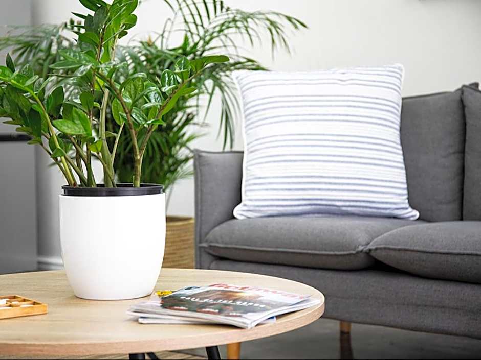 La Dolce Vita Gordon’s Bay