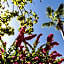 Elba Premium Suites - Adults Only