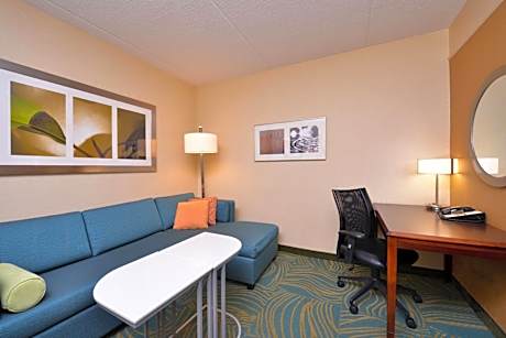 SpringHill Suites by Marriott Arundel Mills BWI Airport