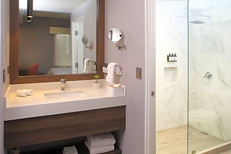 Accessible King Size Bed