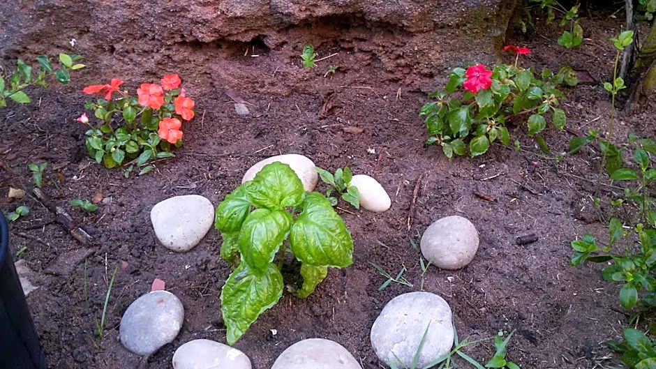 Pousada Container Eco Manguinhos