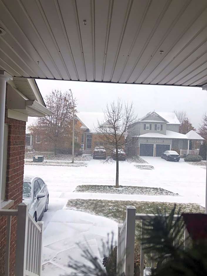 Willow Pond Satellite B&B