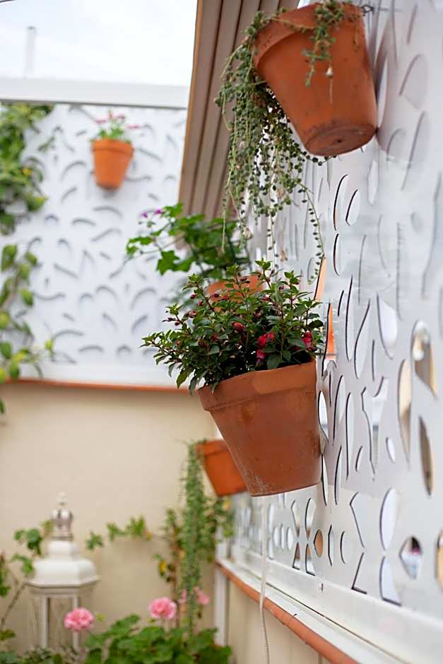 Hostal El Gallo