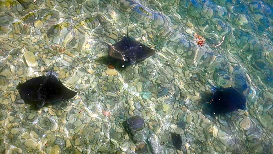 The Lodge At Te Rawa