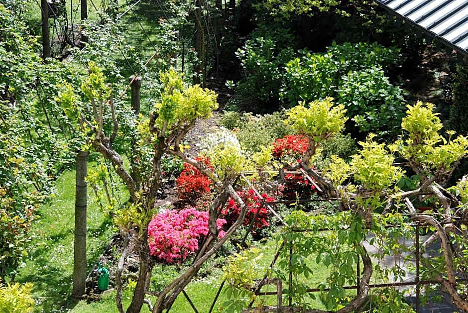 La Canarina Bed & Breakfast