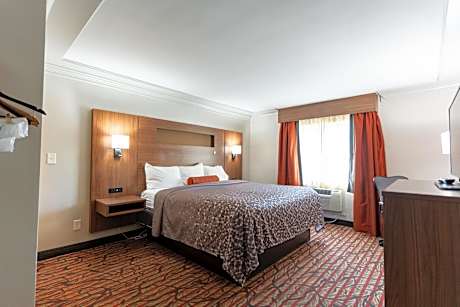 King Room - Non-Smoking
