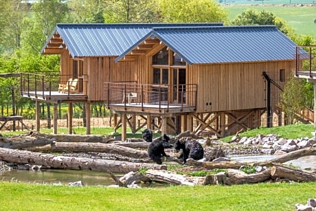 Lodge des ours noirs – Accès au parc et repas inclus