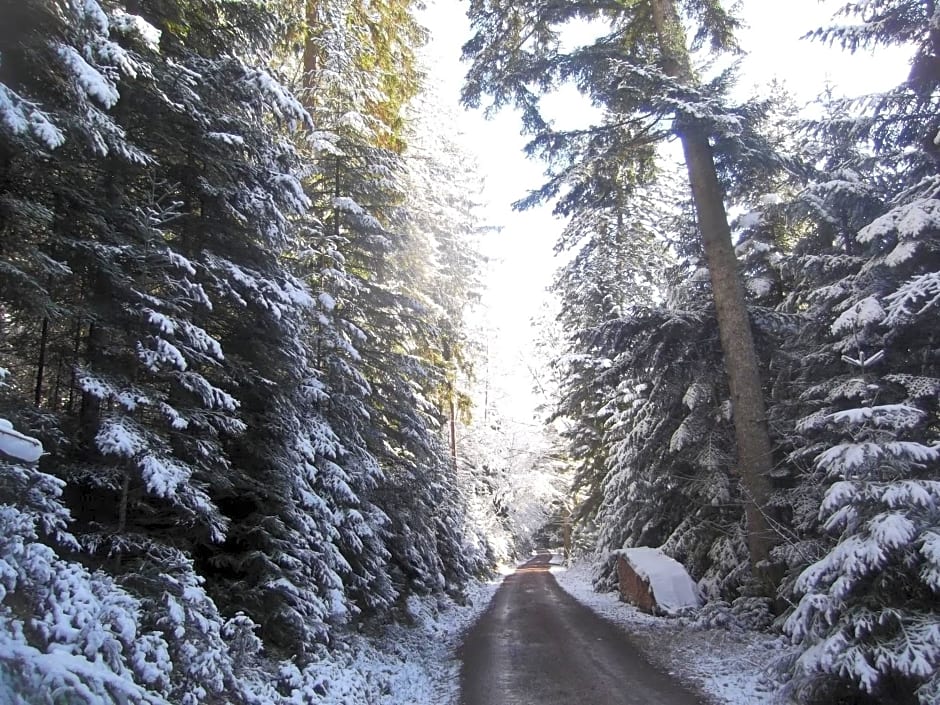 Schwarzwald-Gasthof Hirsch