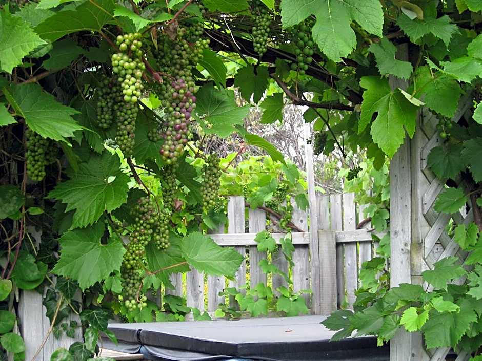 Seascape Coastal Retreat - 2 ADULTS ONLY - HOT TUB AND WITHOUT HOT TUB OCEANFRONT PROPERTY