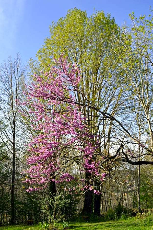 DUC MANOIR Chambres d'hôtes