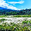 Nature View Hotel