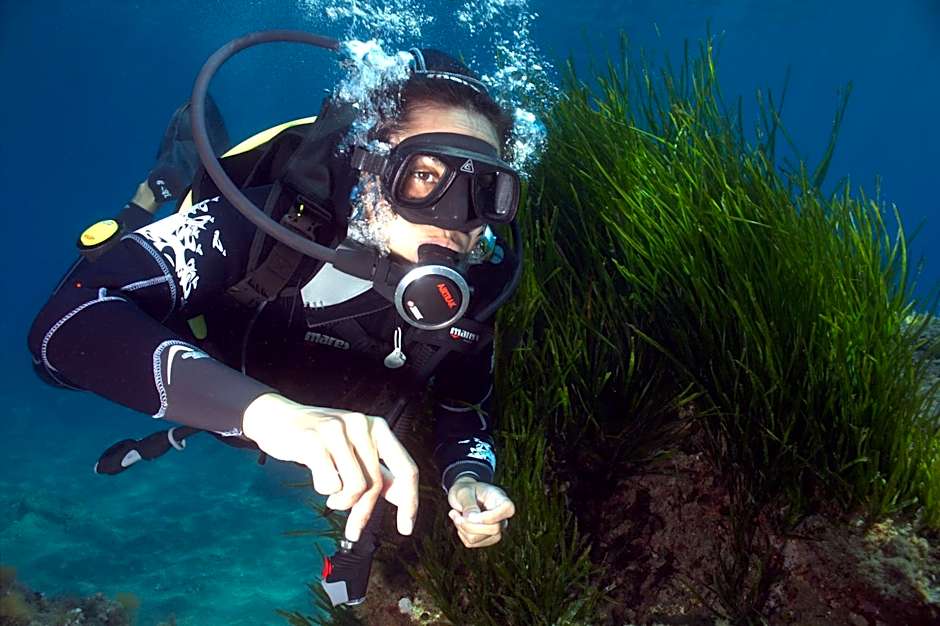 Il Castello di Modolo