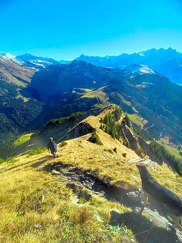 Kunst- und Naturfreundehaus Brünig