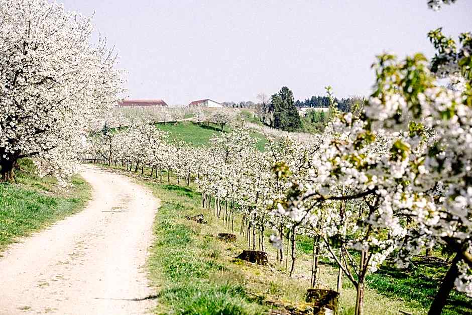 Gut Hügle Erlebnishof & Spa