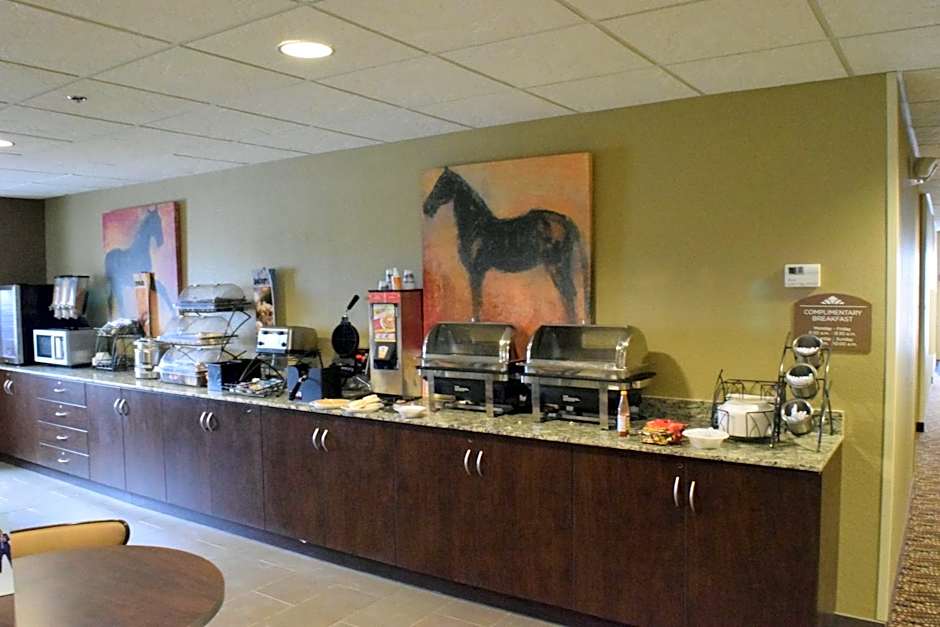 Microtel Inn & Suites By Wyndham Pecos