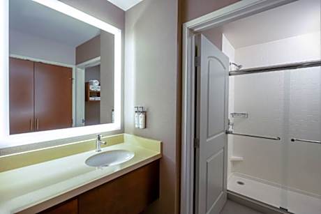 1 Queen Bed Studio Suite
