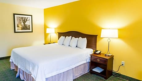 1 King Bed Nonsmoking