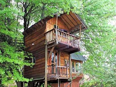 Sycamore Avenue Treehouses & Cottages Accommodation