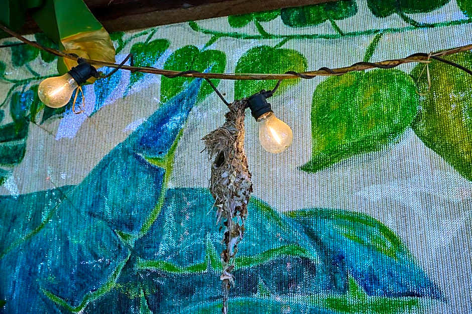 On The Wallaby Eco Lodge