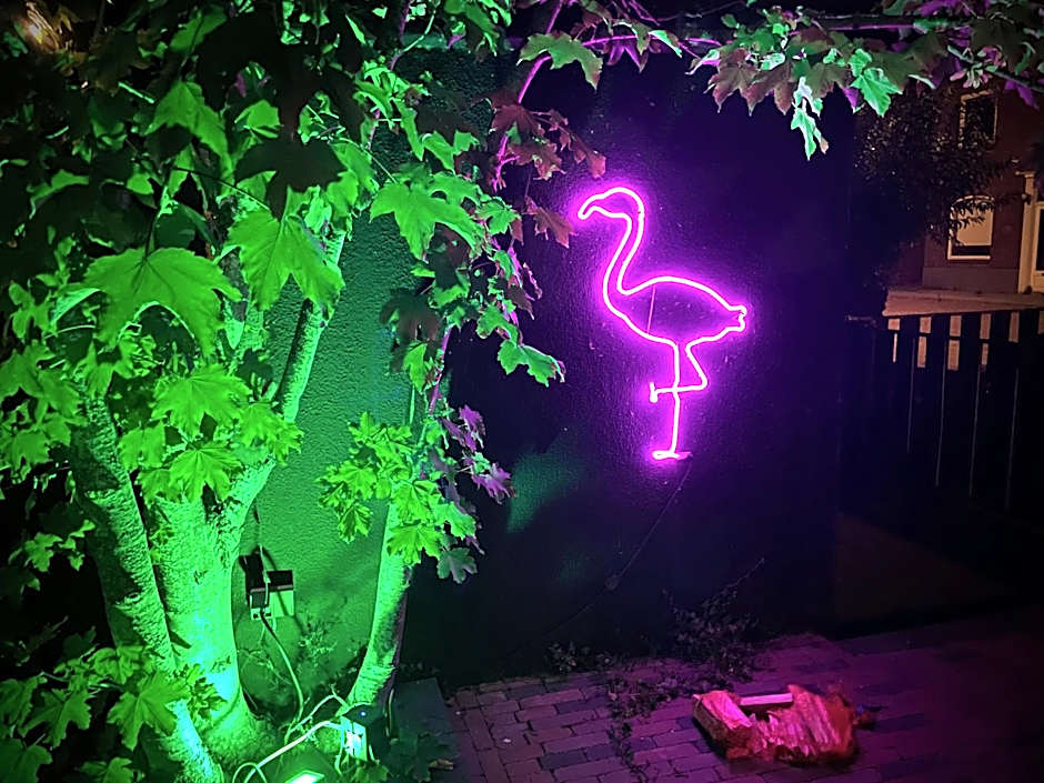 Flamingo Studio's Zeeland