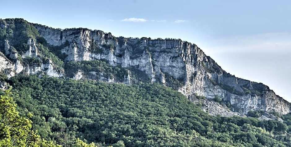 La Cour du Marronnier