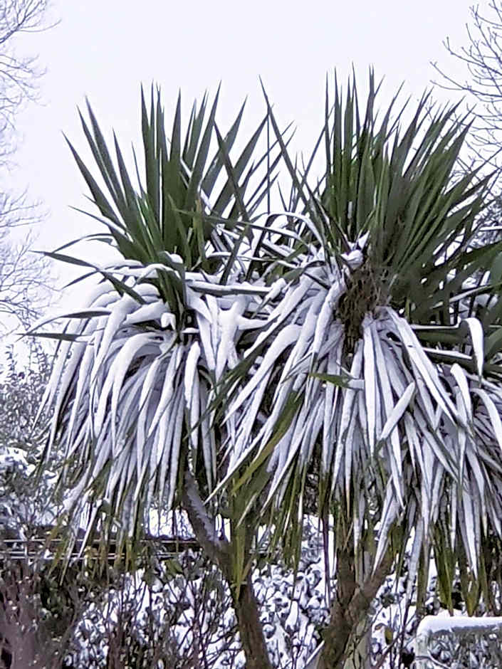 La Bastide du Moulin - Mont St Michel