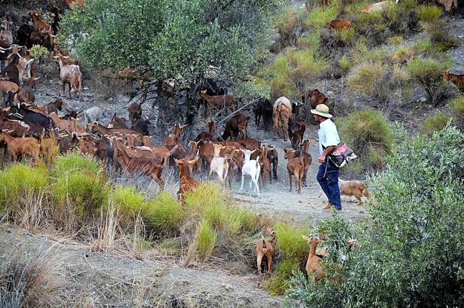 Bed and Breakfast Lagabella